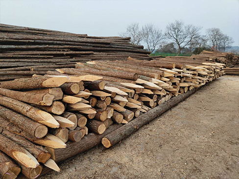 河道松木樁在道路工程中的應用有哪些？